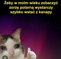 74de55a4-3246-41f5-88fd-da4ffad51453