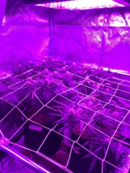 7e15fcdb-4726-4758-914f-22f9c9fe70f7