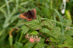 b4addb0c-6528-4e84-9192-d19afc31eb1c