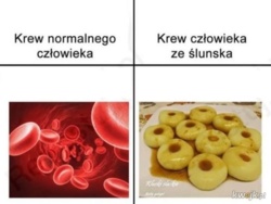 5457c5c7-3ff4-4002-8bad-d44834040d6f