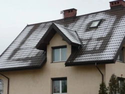 0810ea3f-edce-49da-89e8-116141feabfa