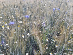 9dc8dc76-c0a7-49fc-8938-68f634887ef8