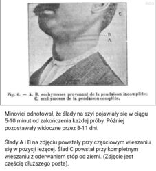 50a64be6-838d-4461-88de-af6974172da5