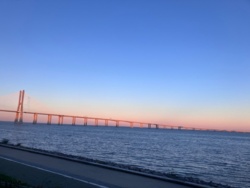 0dc5b5b6-5894-4ae0-bd05-cf1a4a60a476