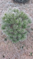 9ffedd1b-f157-4b7c-8175-f40024625ef5