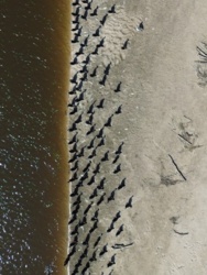 60178121-be18-413b-9cea-3c78d3668125