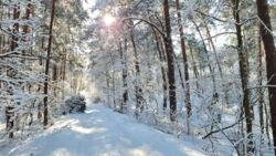 54c60990-5587-4805-ba8b-4e32f6561a09