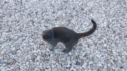 b10a3621-b929-4a39-8d88-91211f0d6b17