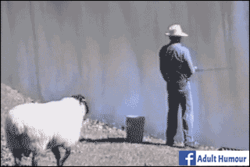 2f24fadc-ac90-4d7d-9c12-ed5bb176230f