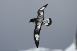 cf141fd7-f22d-4971-969f-5ee2585a421c