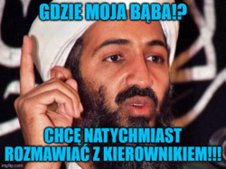 09518d2f-d8c8-4d3e-8d40-c4767237474c