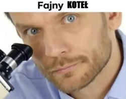 c0cdc956-ee8a-4361-8e9e-97e3225b8991