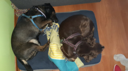 2e4dc9cd-50c3-40a8-a004-2811e8cc6d9f