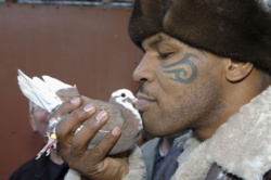 54e2a717-b43c-4d6c-9c3e-b2c683cccd98