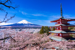 f7eb2dd2-d312-4731-8782-89820bb01630