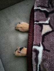 5271fbc8-34df-44b9-9e66-b5a62ce0881b