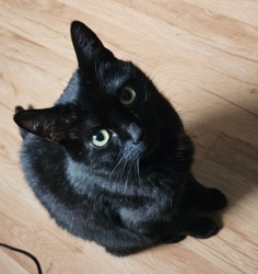 fbea367c-9006-4d1d-be91-8bbd18726124