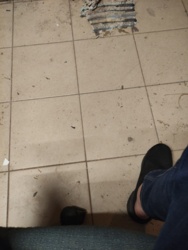 46b49a11-d1df-4ef2-8c2a-66491ad9cda2