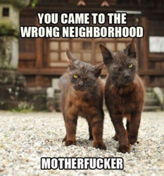 59a059ba-da58-4532-8cd9-264f326d46f3