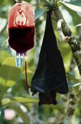 95833eb8-56dd-4e4a-ad37-e7a7639fc254