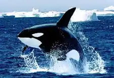 e5493fdc-3336-46ed-8cba-e89c376718bd