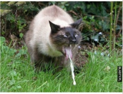 29b0c026-aa9b-4d20-9429-c87b77bea253