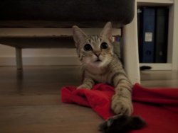 670ac12f-22d4-4f66-ae0e-f3608103dada