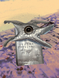 9b8a5a74-cf83-45af-9027-6f204d6b9354