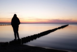 4532c611-e0d6-42d8-b3fa-5376c45da250