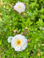 3d5e4fc6-a96b-4988-aad7-566b62d1a098