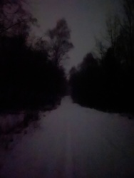 bf5ed104-1c0a-4ed8-ad29-a279dd886afd