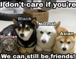 aaeaf1cf-f38b-44d7-a8be-d50de908a5cc