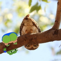 a4e4c421-59ff-41cb-af10-6d504f98ca0b