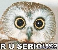 bbbf1e1e-6fb3-4fec-bdea-6011f58cee0f