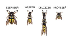 c95c865f-a027-4a54-8a3c-04054ebf9e47