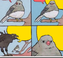 0902e927-226c-4c9a-8aee-b9d967193b18