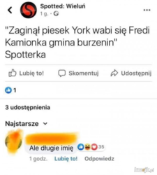 32a0949d-c86c-4fa7-8318-5254c8dd74ff