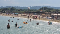 4e63a55d-bd4c-493d-b2fa-bf2ce5dd2ced