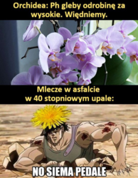 2e4e93b4-abea-45cf-8246-75a223caf324