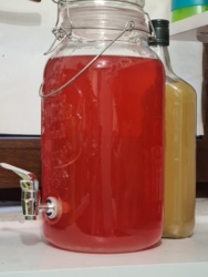 71f2e540-ef50-40a5-82ec-6e1684890dc8