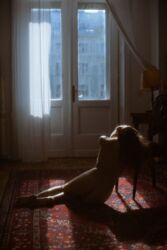 5a0c0ae2-dcda-46d7-8ea8-b45a11cd2e95