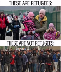 4d148a73-560e-495a-991b-75545f4d0b2b