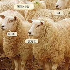 f2aec121-1592-4a24-8d6b-1855475a30d0