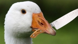 931abb83-b79f-473b-99f2-76f1c3cefc0a