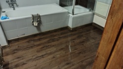 1191d8f7-2f79-4c9e-986c-7ae694a1c67f