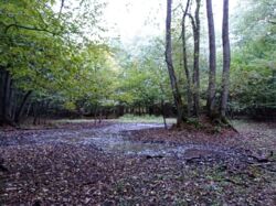 6a06ac04-3f37-4d7f-861c-ac967fc76403