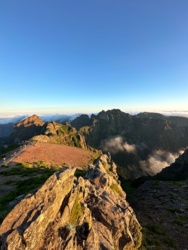 8f545b92-1889-445e-a3c0-5e8a1ddcd068