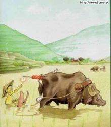 aab02826-4465-4d5b-8c0a-36e92650c730