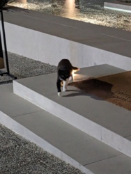 b435cb64-eacf-4717-8abf-cfb1c9fb4968