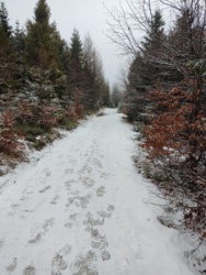 3d39ddc0-7764-47e3-a640-8ca181b2b5ee